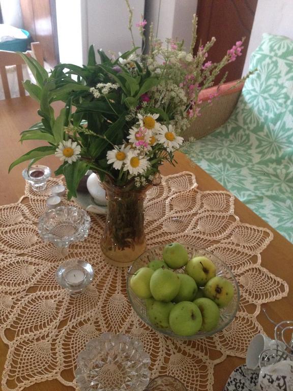 Eco Garten Guest House شكودر المظهر الخارجي الصورة