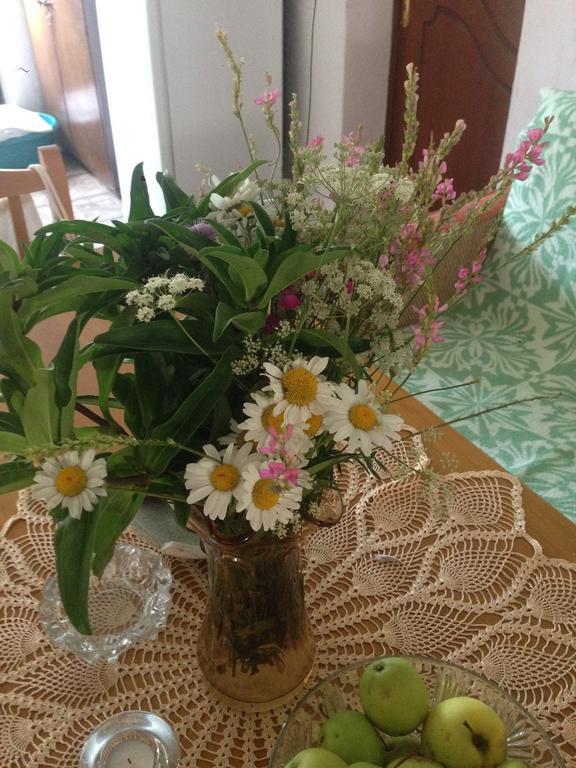 Eco Garten Guest House شكودر المظهر الخارجي الصورة