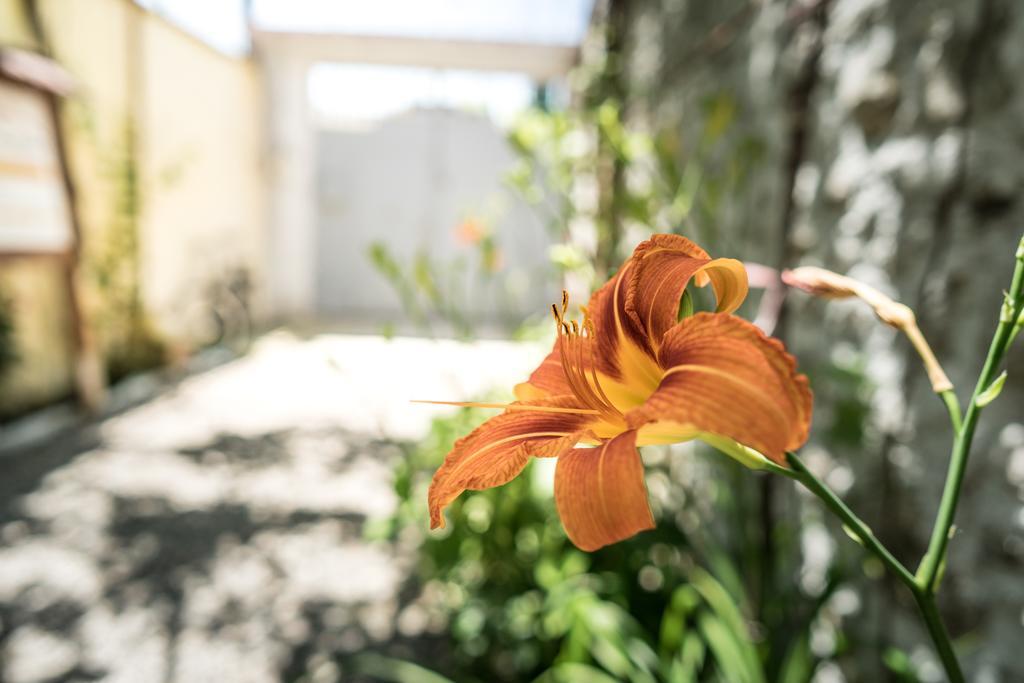 Eco Garten Guest House شكودر المظهر الخارجي الصورة