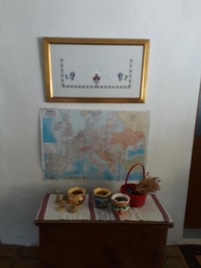 Eco Garten Guest House شكودر المظهر الخارجي الصورة